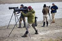 Grizzly Bear Hunters